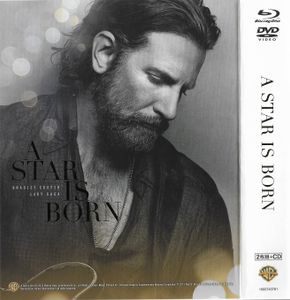 アリー/ スター誕生
