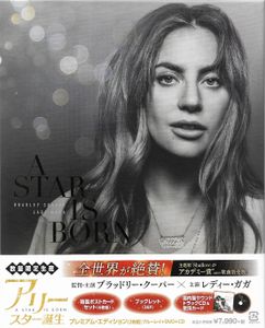アリー/ スター誕生