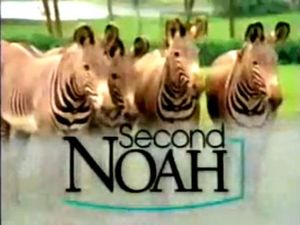 Second Noah