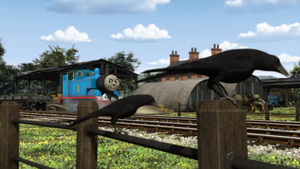 Thomas Toots The Crows