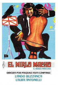 El Mirlo Macho
