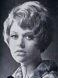 Brigitt Petry