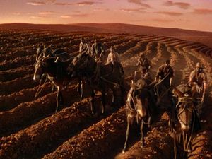 Gone With The Wind