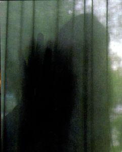 The Tree of Life (The Criterion Collection)