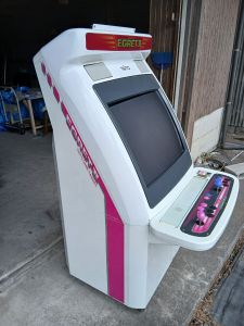 Taito Egret II